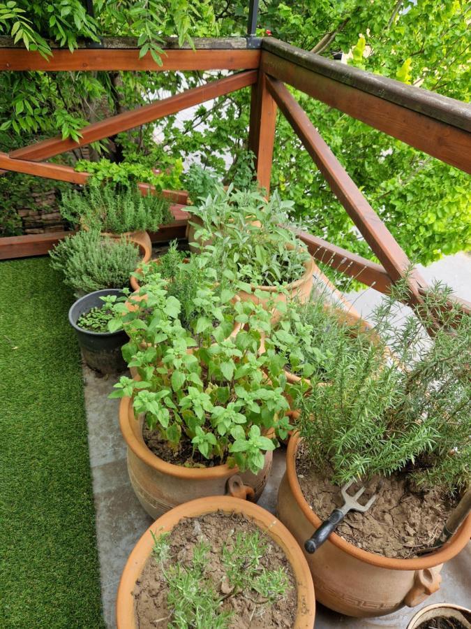 Balassi Apartment -With Green Terrace&Bike Štúrovo 외부 사진